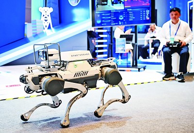  網絡安全博覽會上的企業(yè)展示電網巡線機器狗。新華社記者 鄧華攝